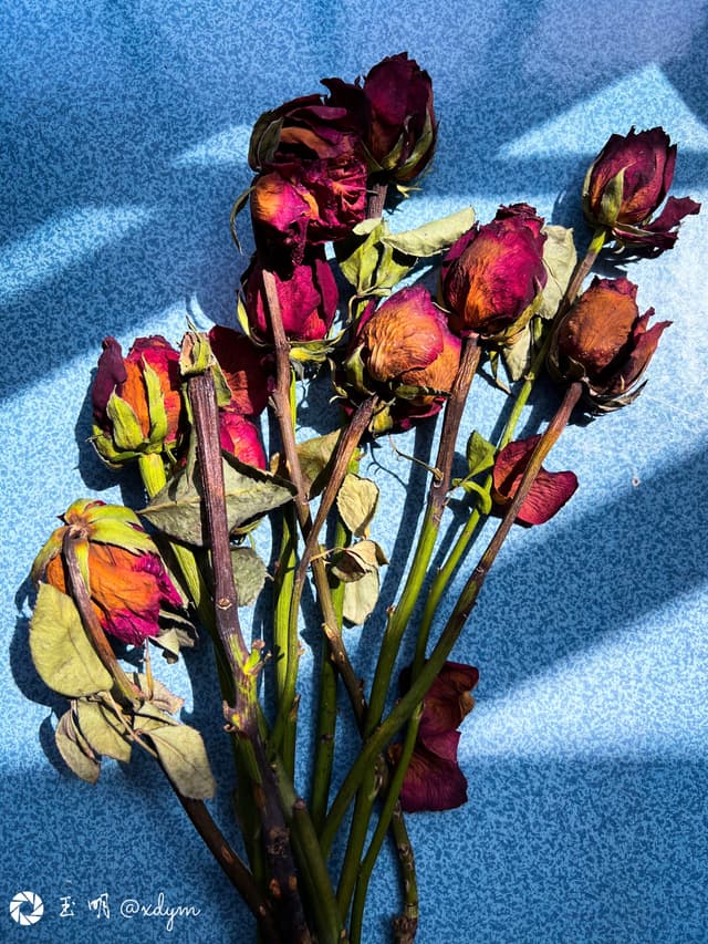 残花