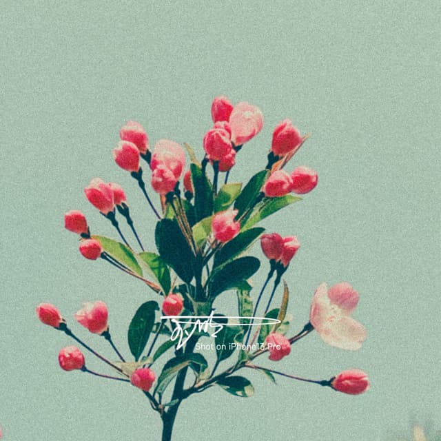 油”花“