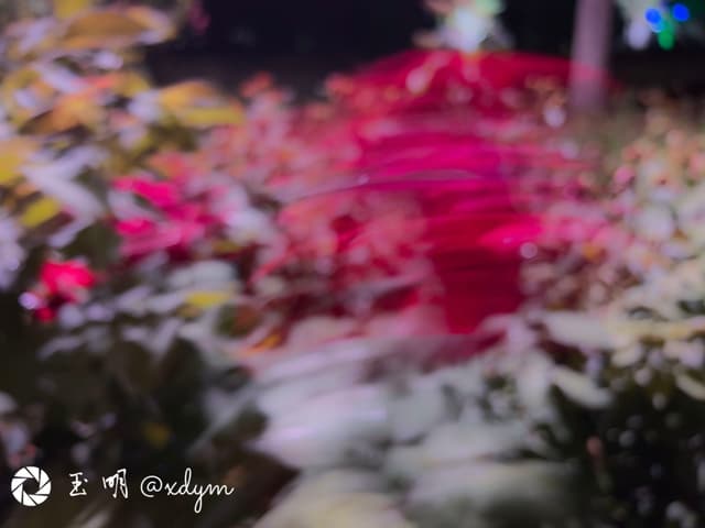 繁花